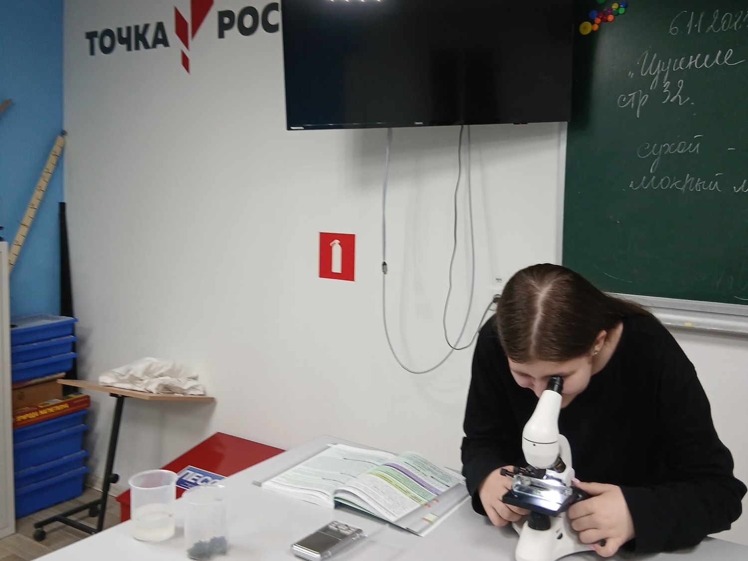 "Зеленые ковры природы: тайны мха под микроскопом" "Зеленые ковры природы: тайны мха под микроскопом".